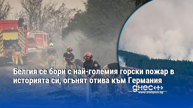 Белгия се бори с най-големия горски пожар в историята си, огънят отива към Германия