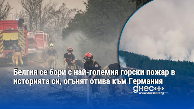 Белгия се бори с най-големия горски пожар в историята си, огънят отива към Германия