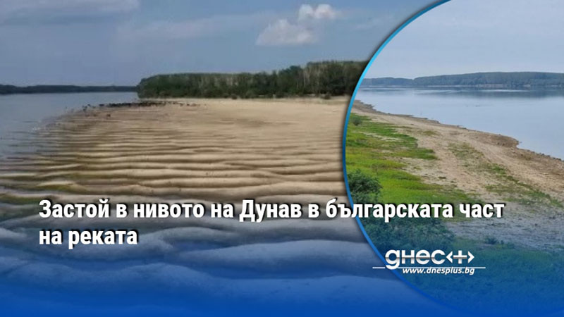 Застой в нивото на Дунав в българската част на реката