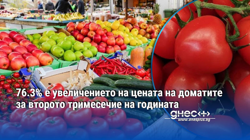 76.3% е увеличението на цената на доматите за второто тримесечие на годината