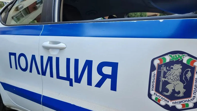 12 души пострадаха след катастрофата, предизвикана от диво прасе край Бургас