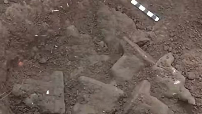 Седемнадесет позлатени статуи на Буда са открити при разкопки на исторически обект в Шри Ланка