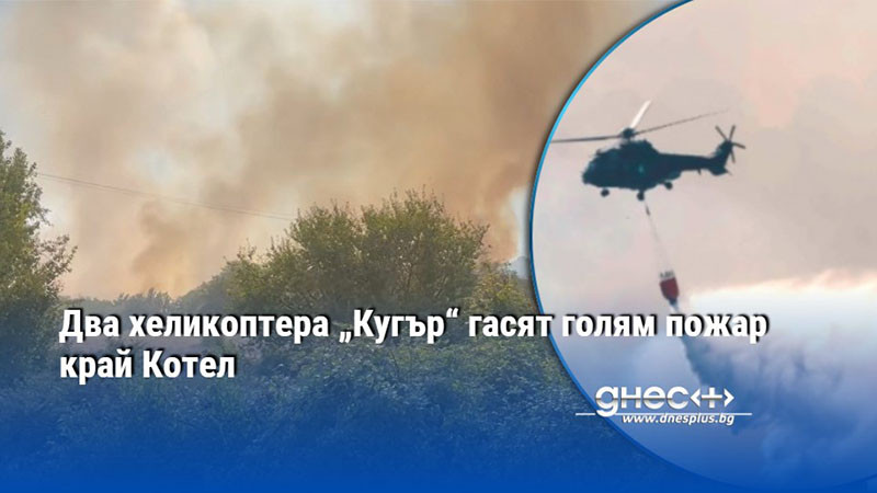Два хеликоптера „Кугър“ гасят голям пожар край Котел