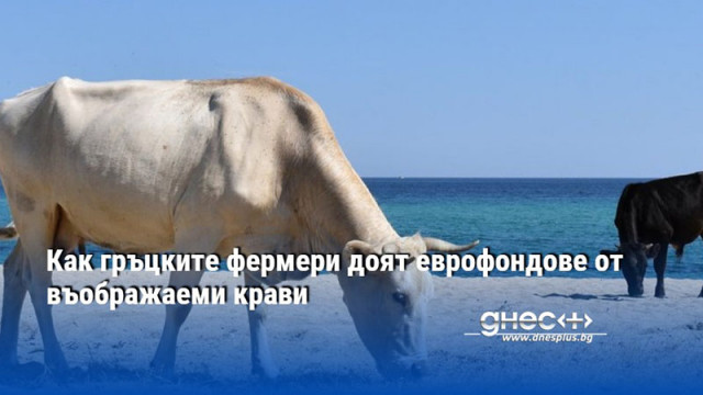 Как гръцките фермери доят еврофондове от въображаеми крави