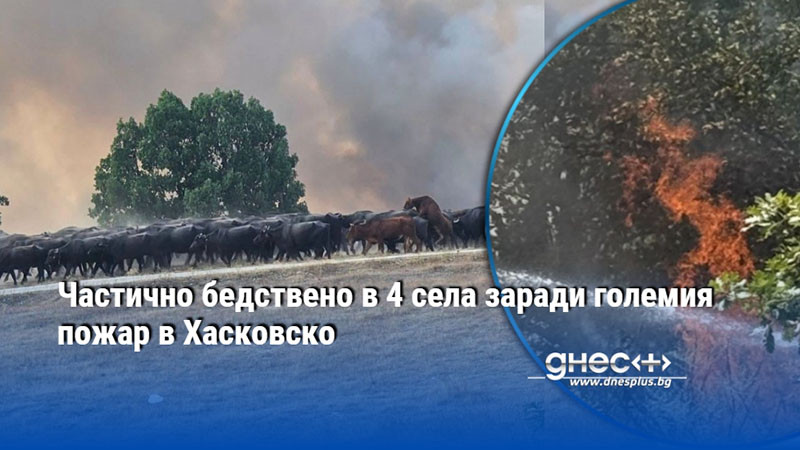 Частично бедствено в 4 села заради големия пожар в Хасковско