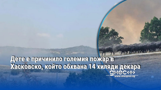 Дете е причинило големия пожар в Хасковско, който обхвана 14 хиляди декара