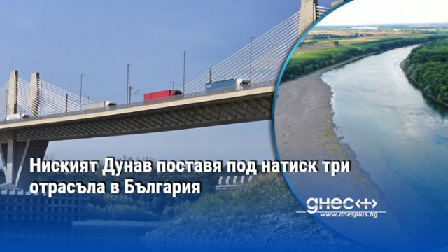 Ниският Дунав поставя под натиск три отрасъла в България