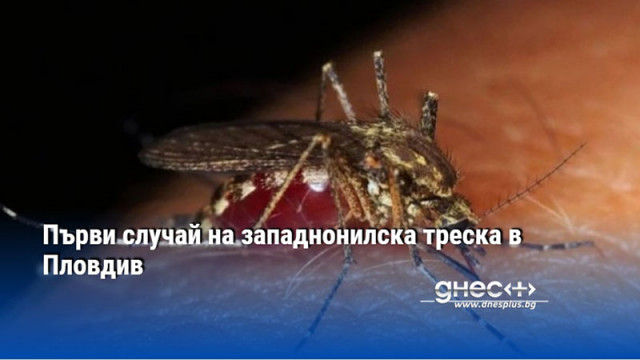 Първи случай на западнонилска треска в Пловдив