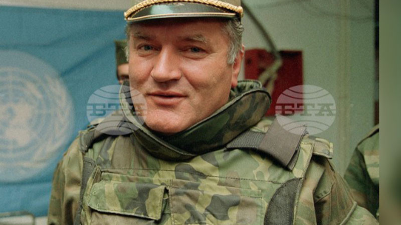 Нидерландските власти няма да разследват смъртта на Ратко Младич в Хага
