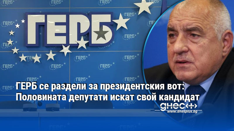 ГЕРБ се раздели за президентския вот: Половината депутати искат свой кандидат