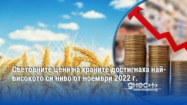 Световните цени на храните достигнаха най-високото си ниво от ноември 2022 г.