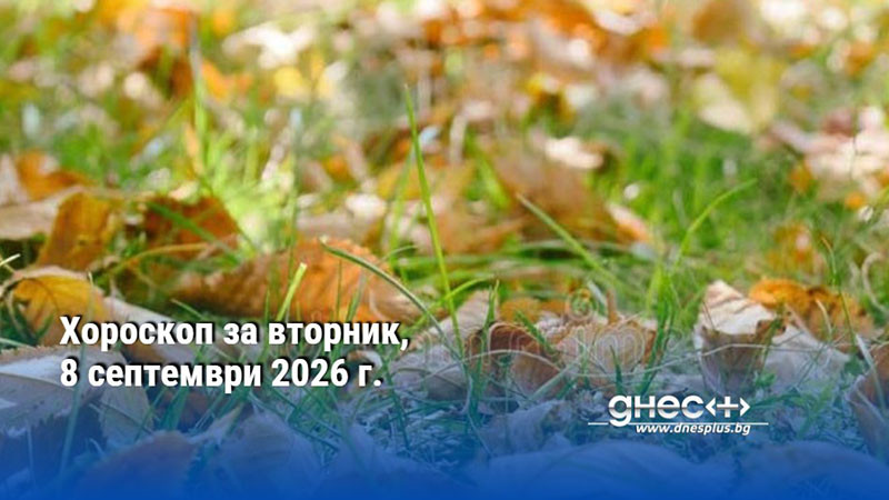 Хороскоп за вторник, 8 септември 2026 г.