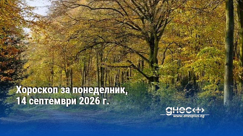 Хороскоп за понеделник, 14 септември 2026 г.