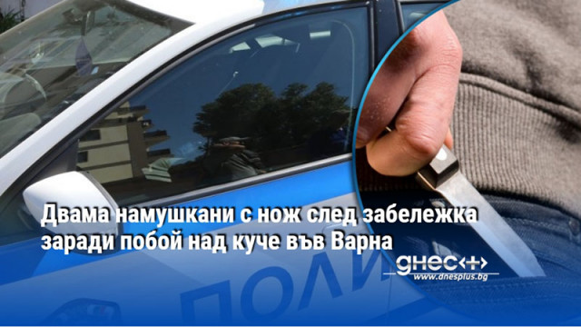 Двама намушкани с нож след забележка заради побой над куче във Варна