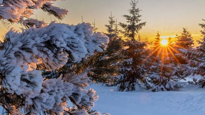 Meteo Balkans с предупреждение: Зимата ни удря с пълна сила през февруари и март