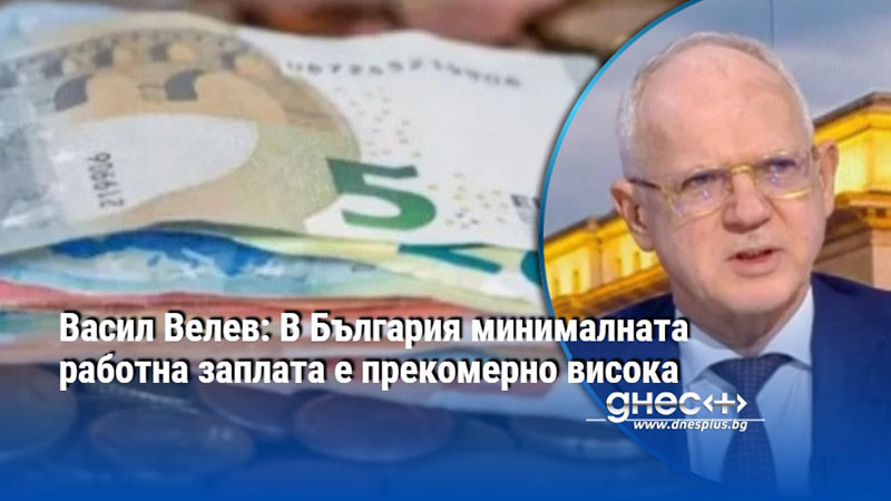 Васил Велев: В България минималната работна заплата е прекомерно висока