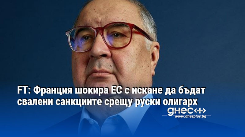 FT: Франция шокира ЕС с искане да бъдат свалени санкциите срещу руски олигарх