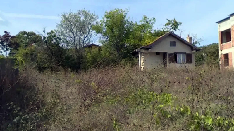 Пореден опит за имотна измама във Варна: Наследници разбират, че лозята им имат нов собственик