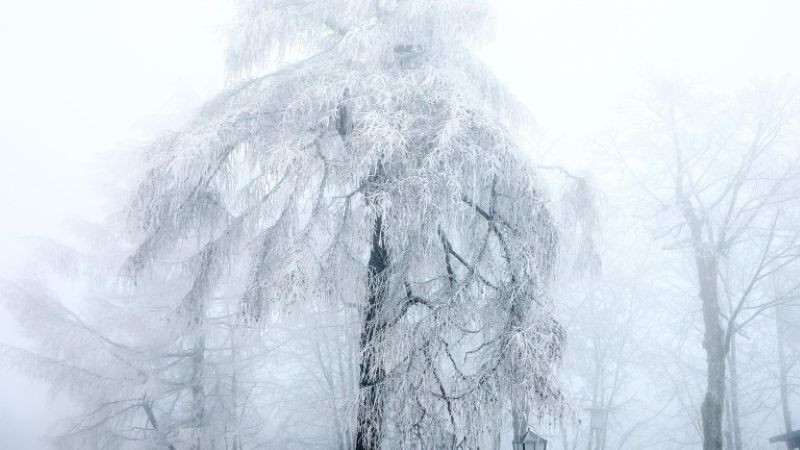 Арктически студ и слана обхваща България, първи сняг пада на Балканите