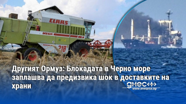 Другият Ормуз: Блокадата в Черно море заплашва да предизвика шок в доставките на храни