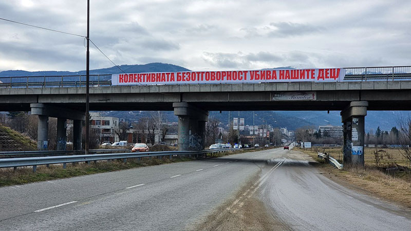 Две условни присъди след смъртта на 18-годишната Андреа при катастрофа с коне на пътя