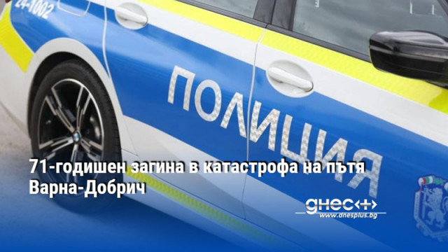 71-годишен загина в катастрофа на пътя Варна-Добрич