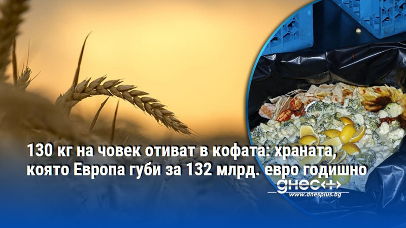 130 кг на човек отиват в кофата: храната, която Европа губи за 132 млрд. евро годишно