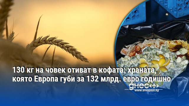 130 кг на човек отиват в кофата: храната, която Европа губи за 132 млрд. евро годишно
