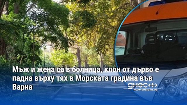 Мъж и жена са в болница, клон от дърво е падна върху тях в Морската градина във Варна