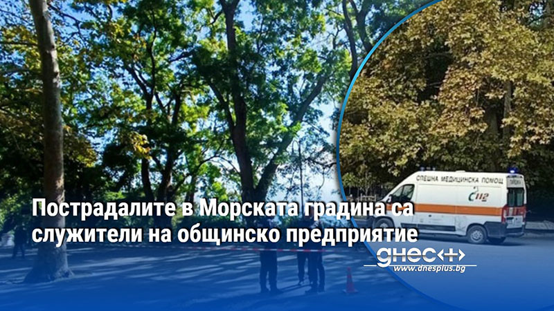 Пострадалите в Морската градина са служители на общинско предприятие