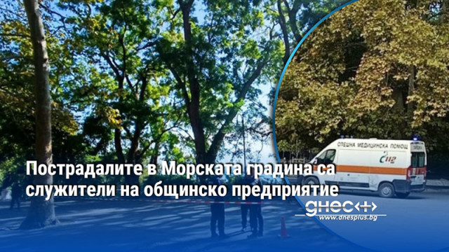 Пострадалите в Морската градина са служители на общинско предприятие