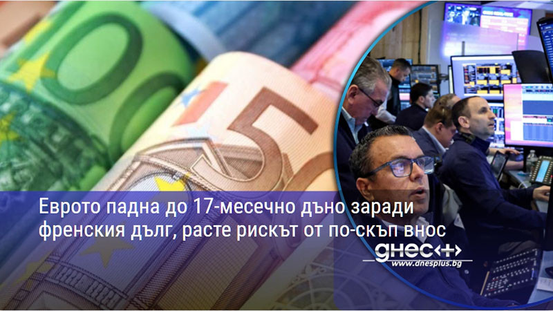 Еврото падна до 17-месечно дъно заради френския дълг, расте рискът от по-скъп внос