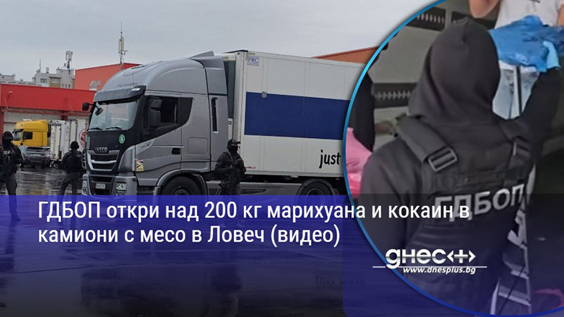 ГДБОП откри над 200 кг марихуана и кокаин в камиони с месо в Ловеч (видео)