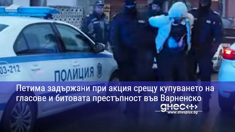Петима задържани при акция срещу купуването на гласове и битовата престъпност във Варненско