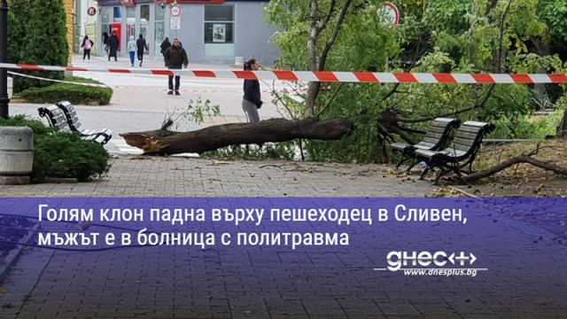 Голям клон падна върху пешеходец в Сливен, мъжът е в болница с политравма