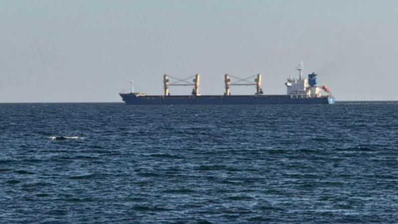 МОСВ: Продължават проверките на морската вода заради инцидентите с кораби в Черно море