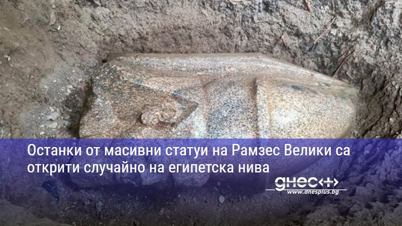 Останки от масивни статуи на Рамзес Велики са открити случайно на египетска нива