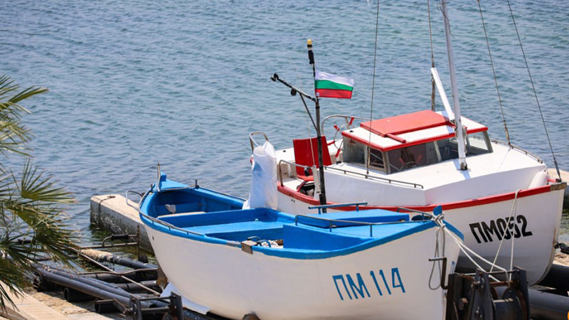 Риболовният бранш настоява за спешна държавна помощ
