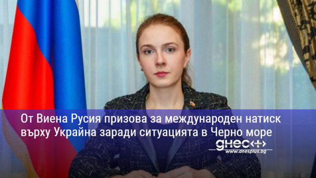 От Виена Русия призова за международен натиск върху Украйна заради ситуацията в Черно море
