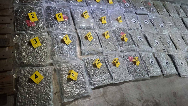 Заловиха камион с близо 55 кг канабис, влязъл от Румъния през Видин