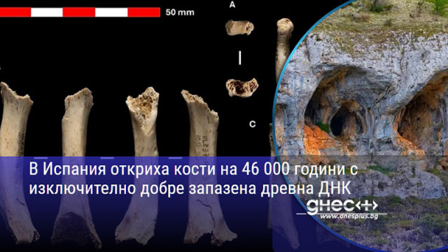 В Испания откриха кости на 46 000 години с изключително добре запазена древна ДНК