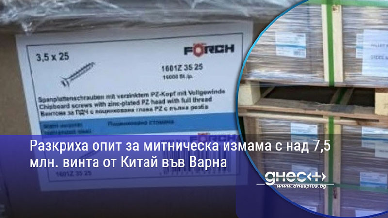 Разкриха опит за митническа измама с над 7,5 млн. винта от Китай във Варна