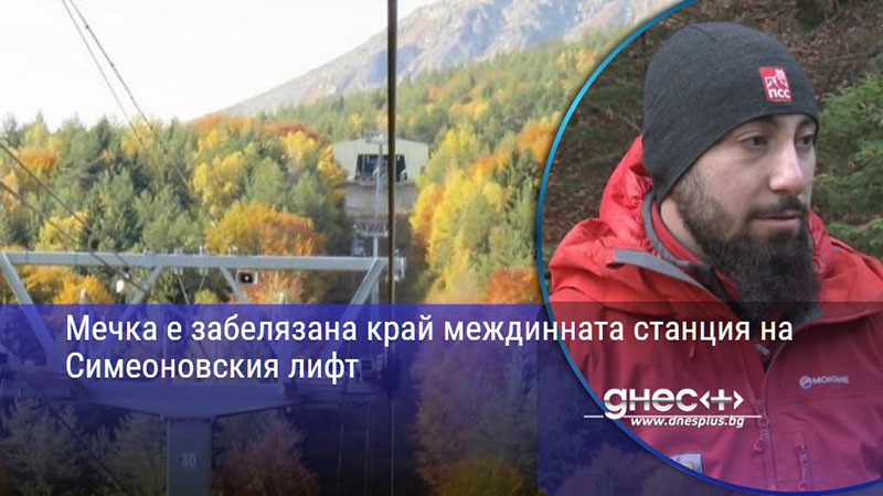 Мечка е забелязана край междинната станция на Симеоновския лифт