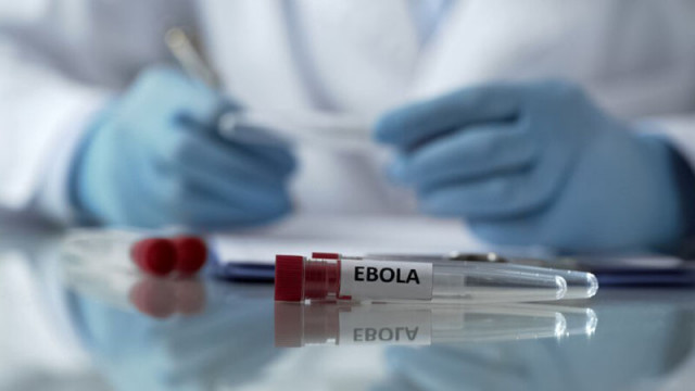 Случаите на ебола в ДР Конго надхвърлиха 10 000, близо половината от заразените са починали