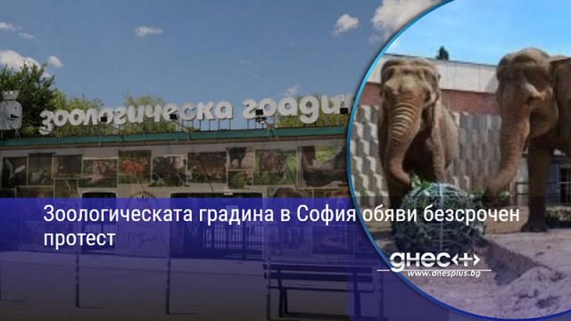 Зоологическата градина в София обяви безсрочен протест