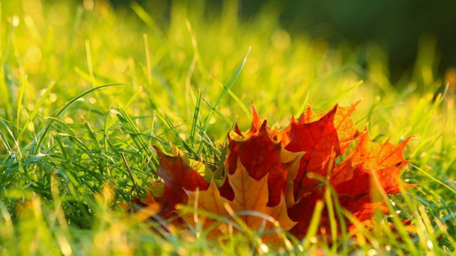 Слънчев календар – събота, 30.05.20