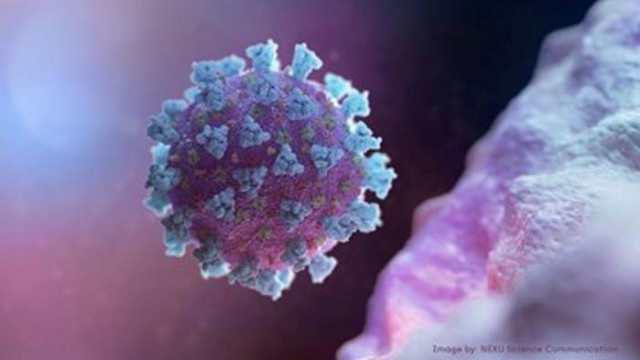 СЗО: Жертвите от COVID-19 могат да достигнат 2 млн. преди масова ваксинация