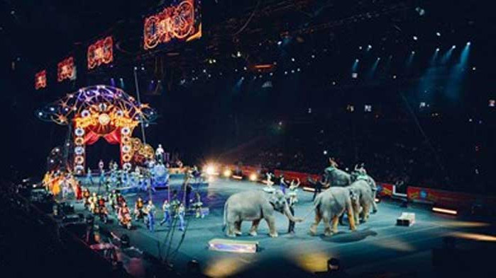 Франция забранява дивите животни в пътуващи циркове