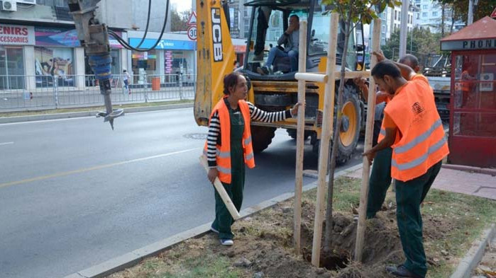 Засаждат 40 нови дръвчета във Варна