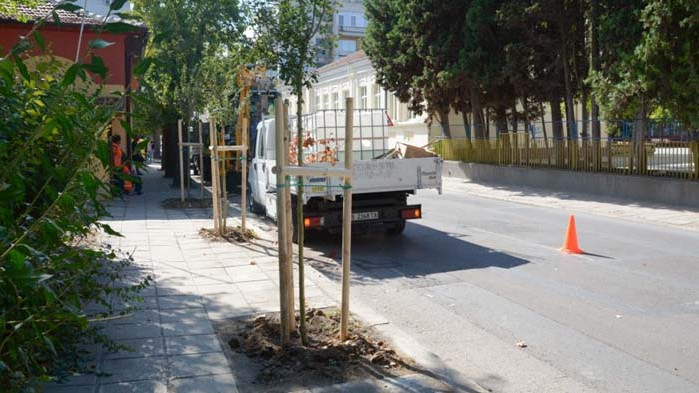 Засаждат 40 нови дръвчета във Варна